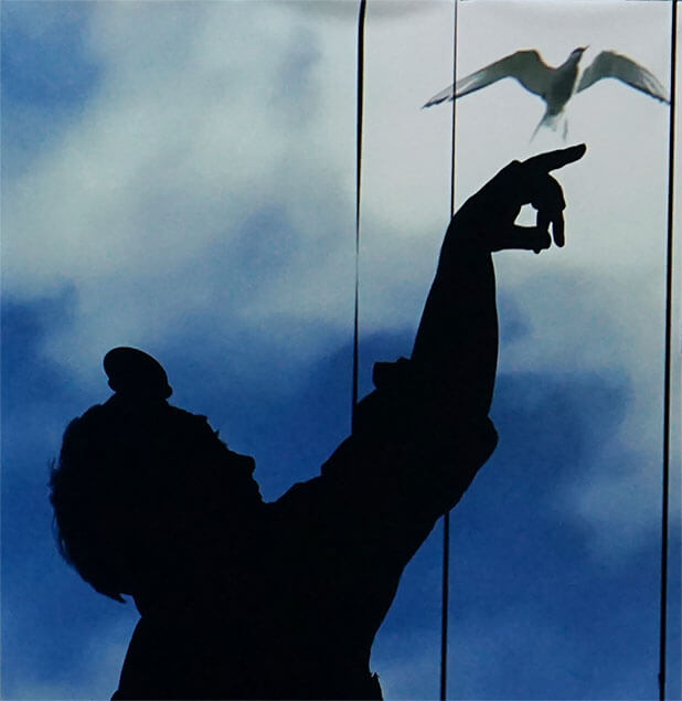 oiseau