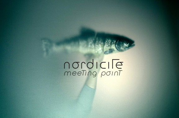 Nordicité/Meeting point
